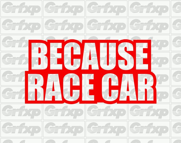 Because Racecar Sticker