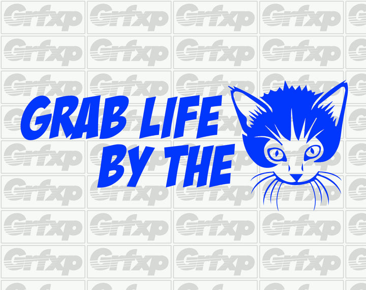 Grab Life By The P*ssy Sticker